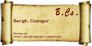 Bergh Csongor névjegykártya