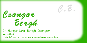 csongor bergh business card